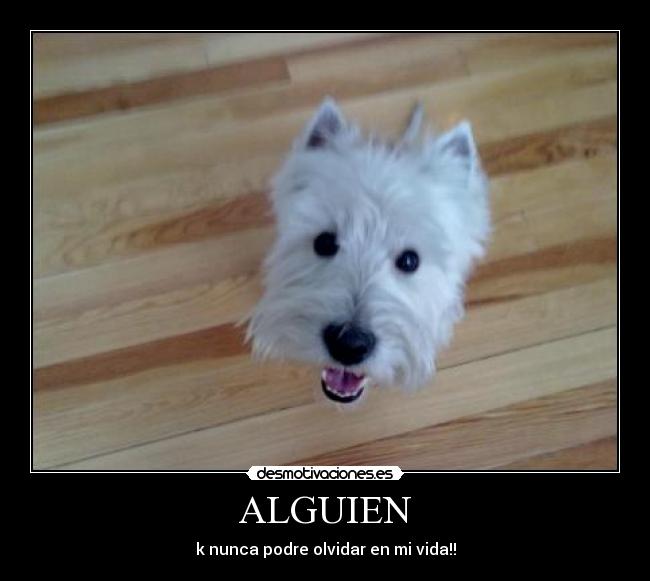 ALGUIEN - 