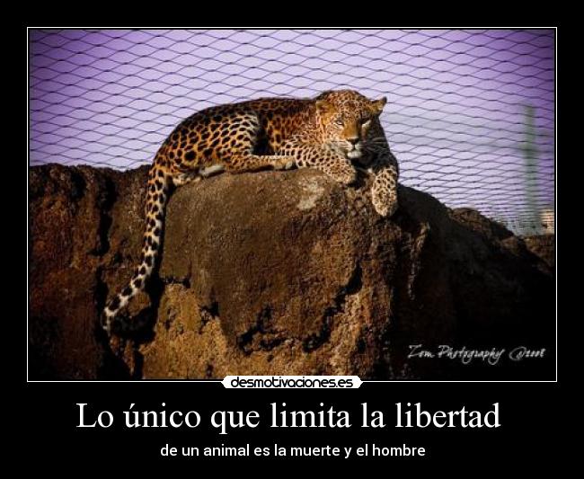 Lo único que limita la libertad - de un animal es la muerte y el hombre