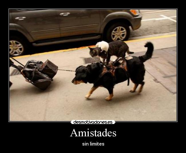 Amistades -