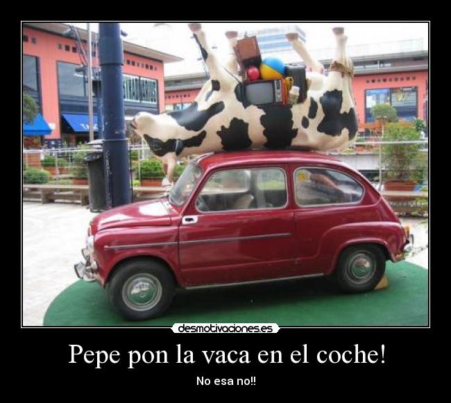 Pepe pon la vaca en el coche! - No esa no!!