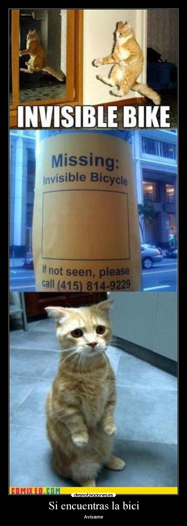 Si encuentras la bici -