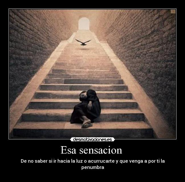 Esa sensacion  - De no saber si ir hacia la luz o acurrucarte y que venga a por ti la penumbra
