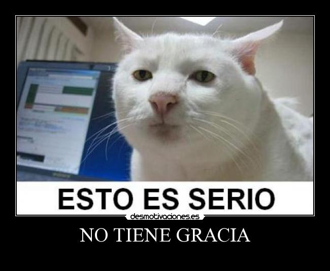 NO TIENE GRACIA - 