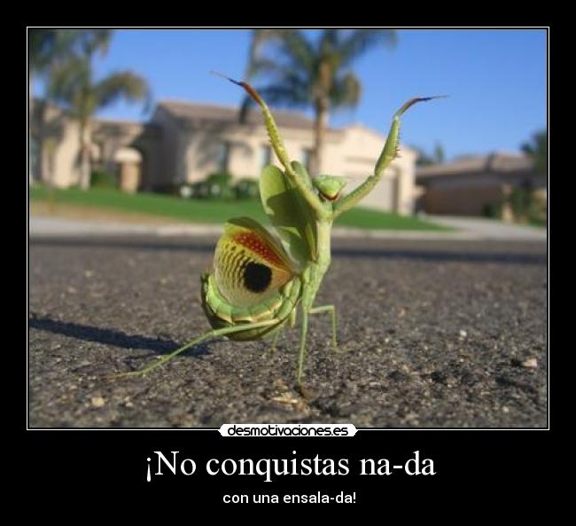 ¡No conquistas na-da - con una ensala-da!