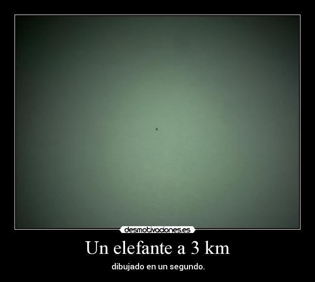 Un elefante a 3 km -