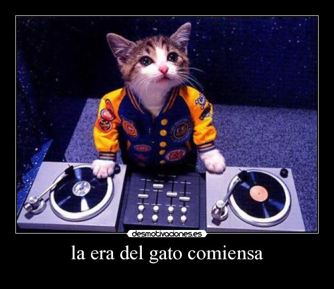 la era del gato comiensa -