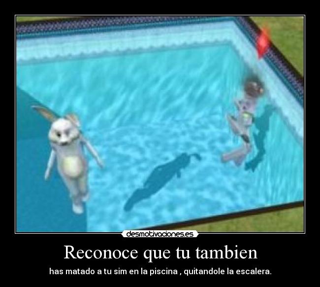 Reconoce que tu tambien - has matado a tu sim en la piscina , quitandole la escalera.
