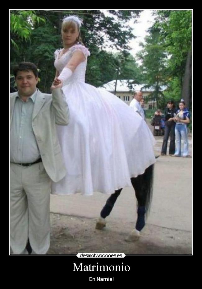 Matrimonio - En Narnia!