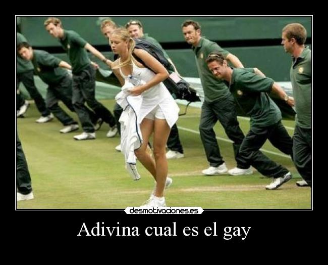 Adivina cual es el gay -