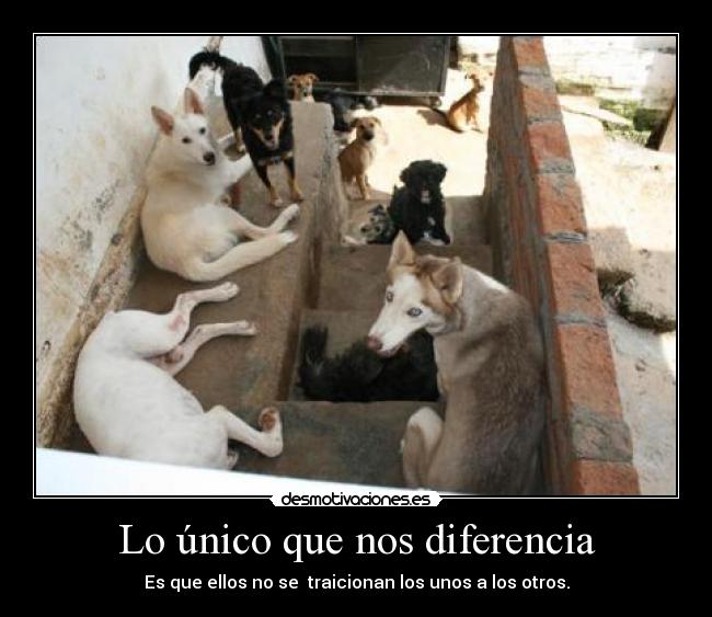 Lo único que nos diferencia - Es que ellos no se traicionan los unos a los otros.