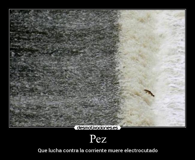 Pez -