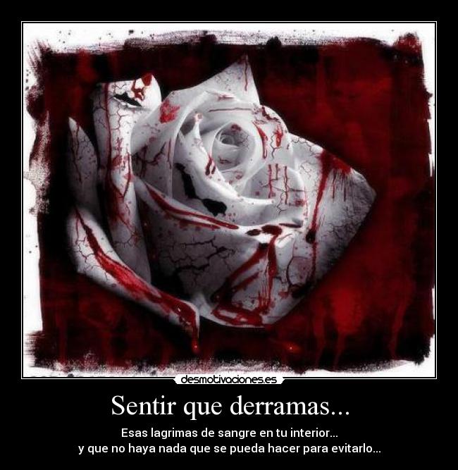 carteles lagrimas sangre rosa desmotivaciones