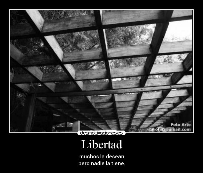 Libertad - muchos la desean
pero nadie la tiene.