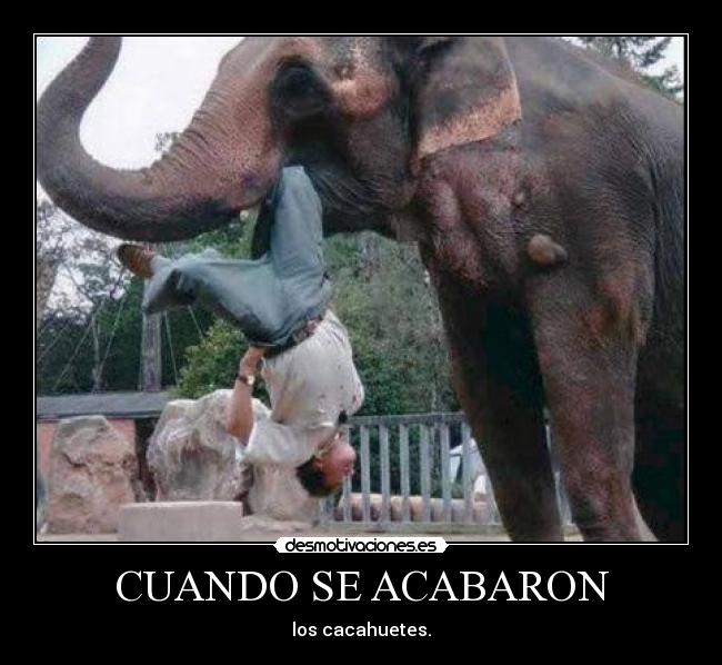 CUANDO SE ACABARON - 