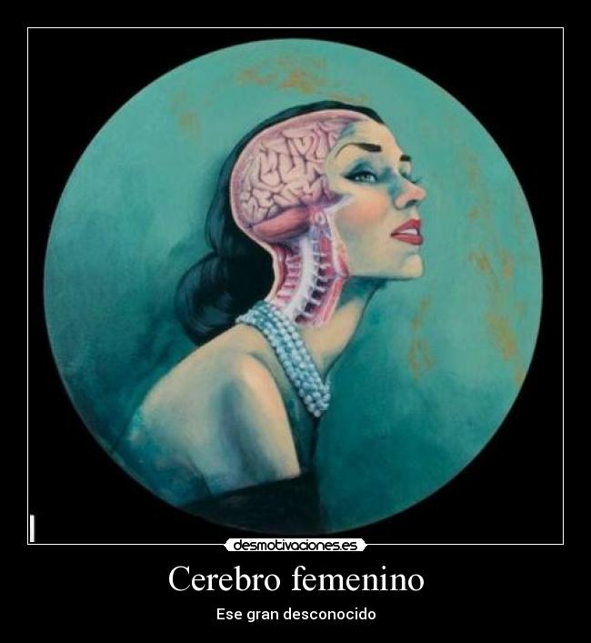 Cerebro femenino - Ese gran desconocido