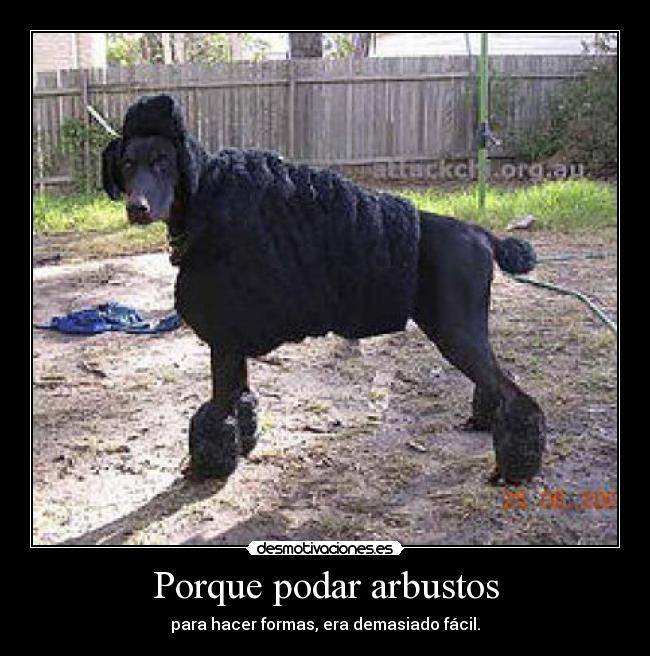 carteles porque desmotivaciones