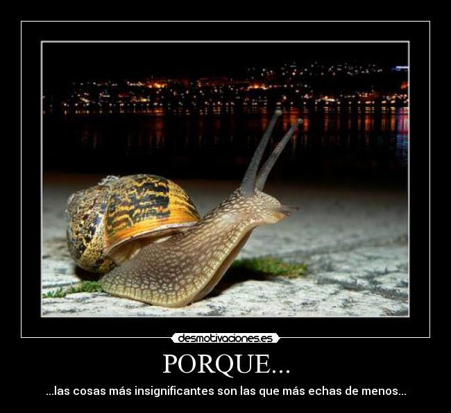 PORQUE... - 