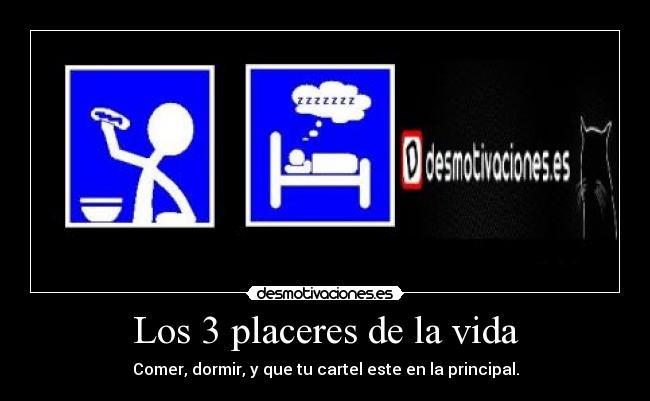 carteles vida los placeres vida desmotivaciones