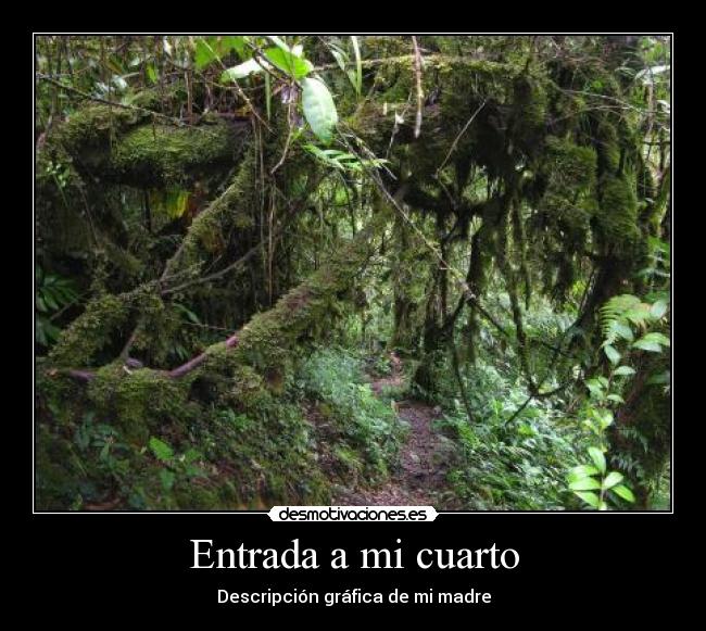 carteles bosque cuarto desordenado madre desmotivaciones