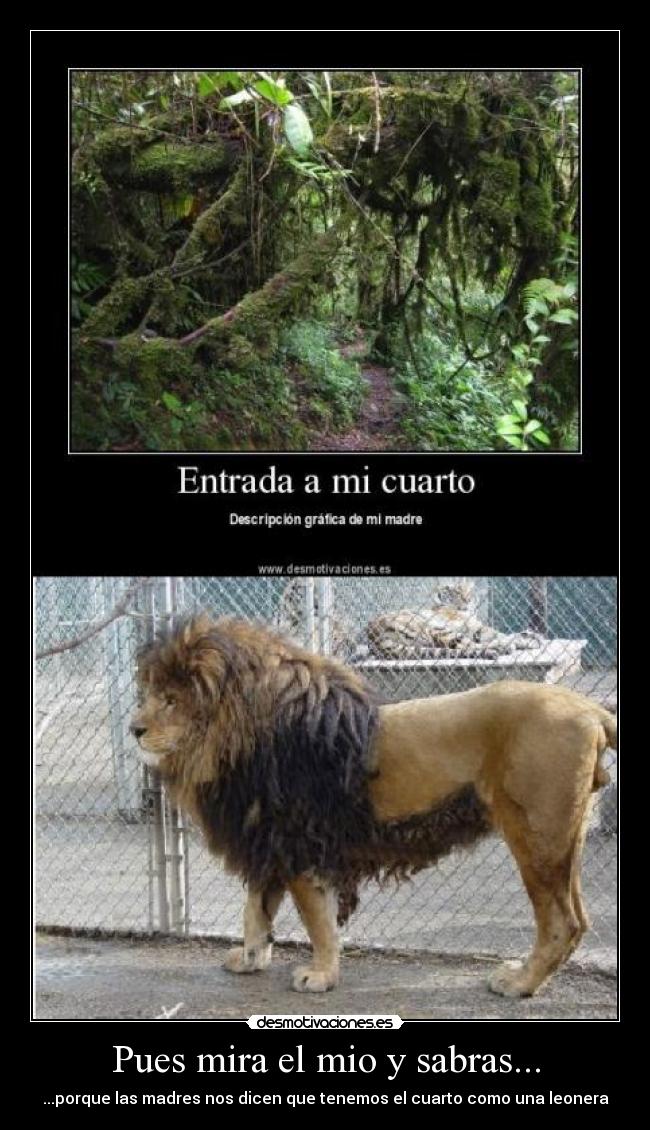 carteles leonera desmotivaciones