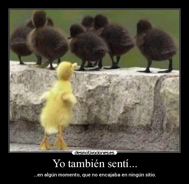 Yo también sentí... -