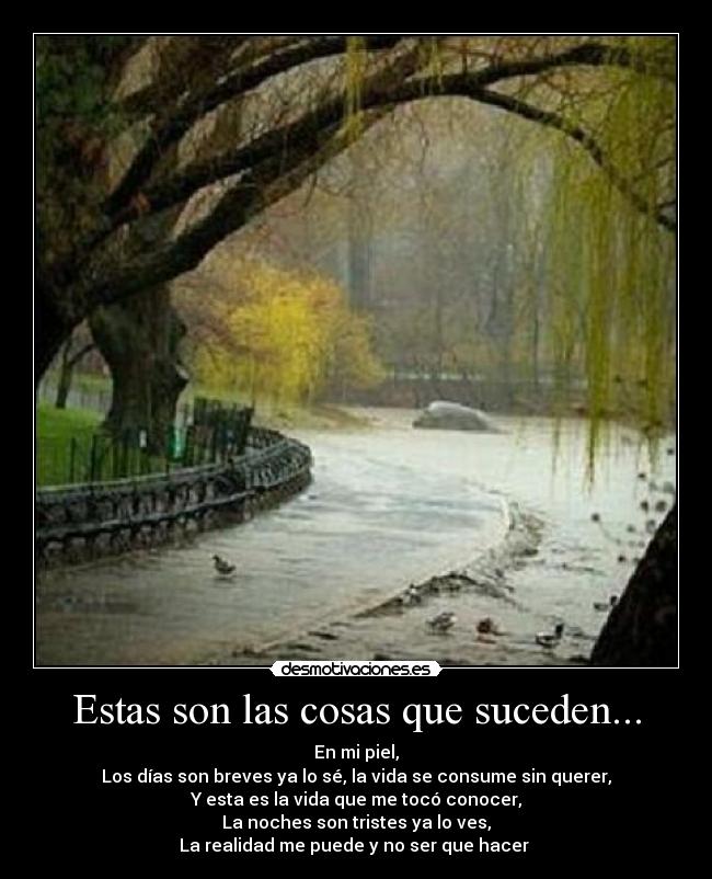 carteles nach basado echos reales desmotivaciones