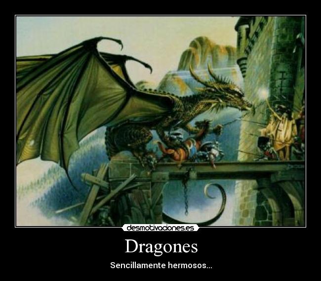Dragones -
