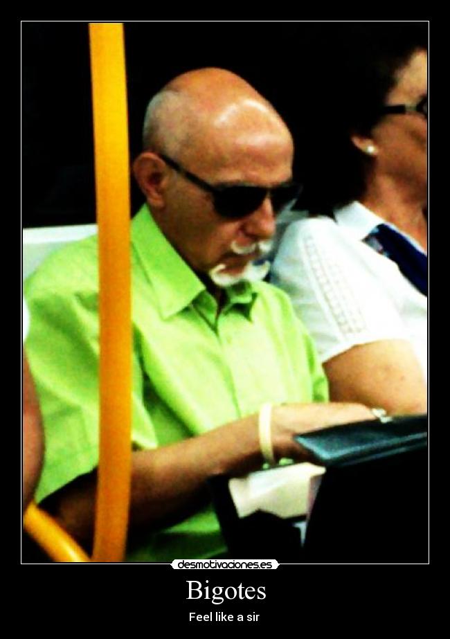 Bigotes - Feel like a sir