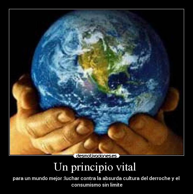 carteles consumismo desmotivaciones