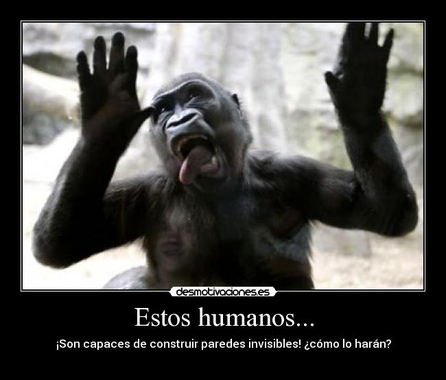 Estos humanos... - ¡Son capaces de construir paredes invisibles! ¿cómo lo harán?