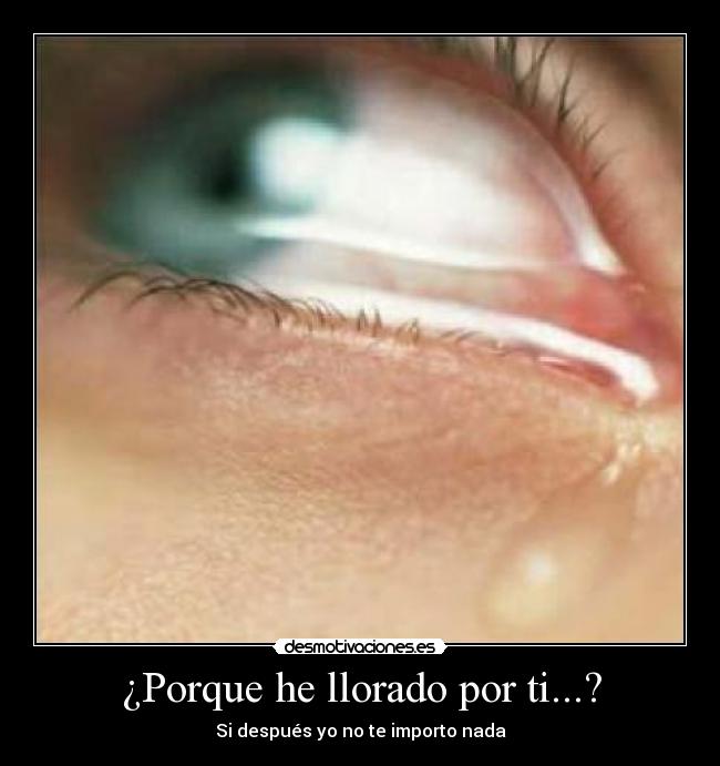 ¿Porque he llorado por ti...? - Si después yo no te importo nada