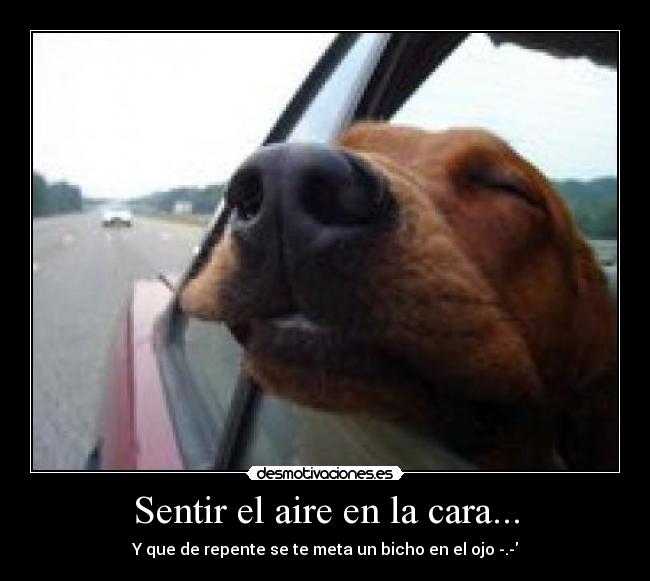 carteles sara desmotivaciones