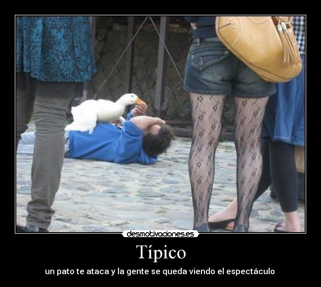 Típico - 