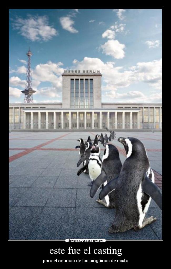 este fue el casting - 