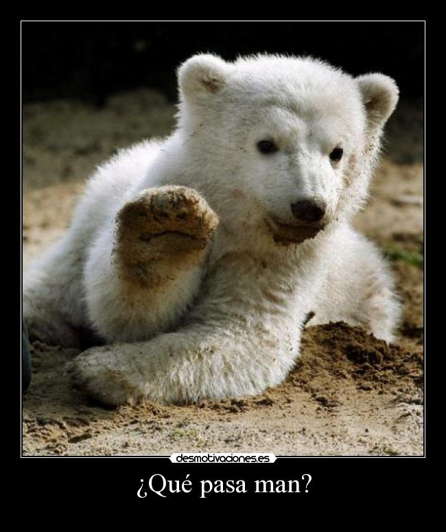 ¿Qué pasa man? - 