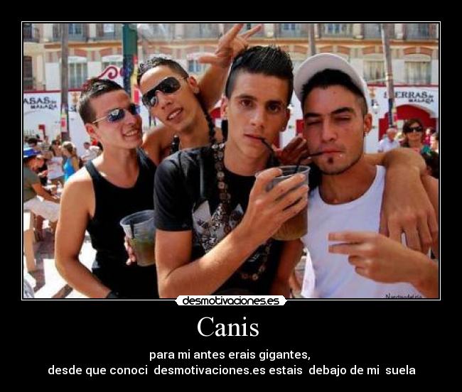 Canis - para mi antes erais gigantes,
desde que conoci desmotivaciones.es estais debajo de mi suela