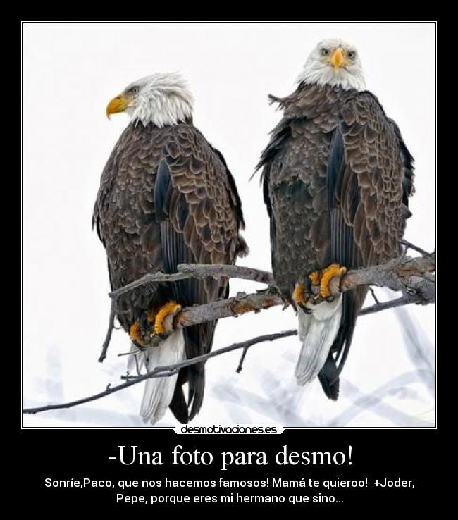 -Una foto para desmo! - Sonríe,Paco, que nos hacemos famosos! Mamá te quieroo! +Joder,
Pepe, porque eres mi hermano que sino...
