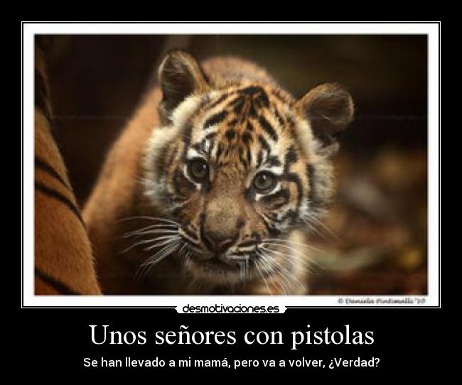 Unos señores con pistolas -