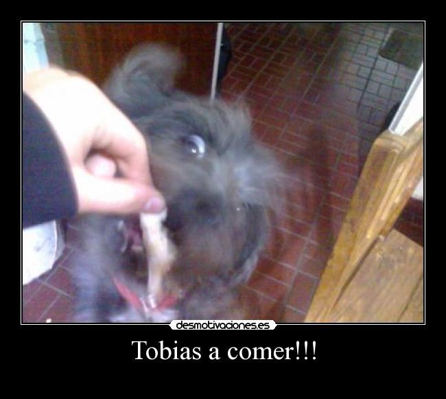 Tobias a comer!!! - 