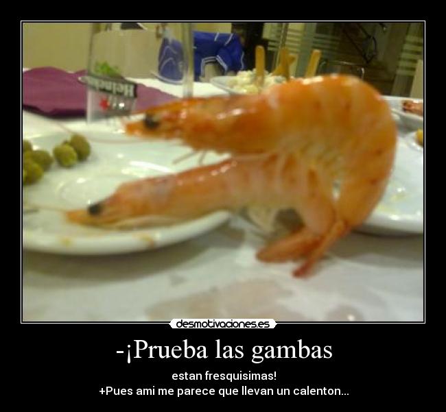 -¡Prueba las gambas - estan fresquisimas!
+Pues ami me parece que llevan un calenton...