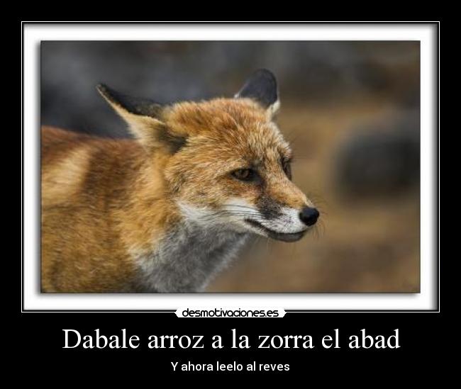 Dabale arroz a la zorra el abad - Y ahora leelo al reves