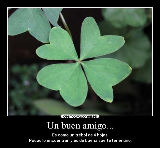 Un buen amigo... - Es como un trébol de 4 hojas;
Pocos lo encuentran y es de buena suerte tener uno.
