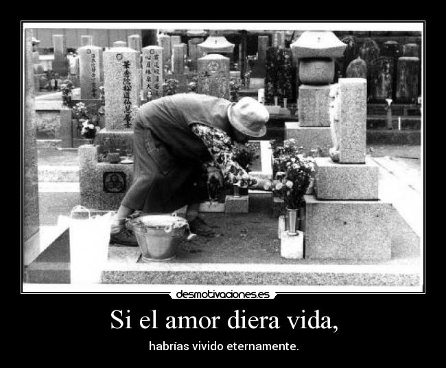 Si el amor diera vida, - habrías vivido eternamente.