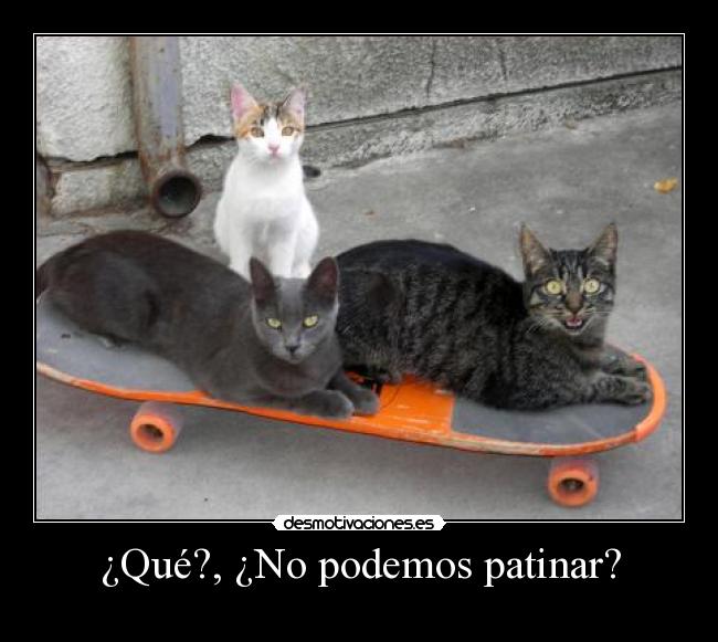 ¿Qué?, ¿No podemos patinar? -