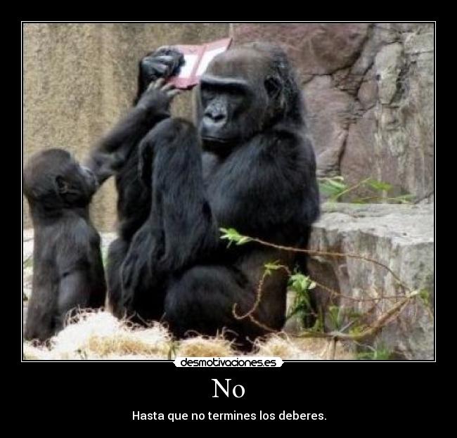 No - Hasta que no termines los deberes.