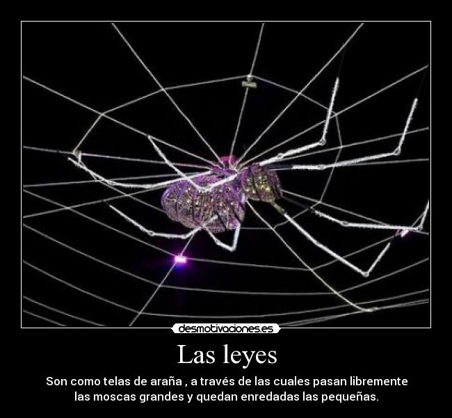 Las leyes -