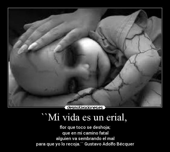 ``Mi vida es un erial, - flor que toco se deshoja;
que en mi camino fatal
alguien va sembrando el mal
para que yo lo recoja.´´ Gustavo Adolfo Bécquer