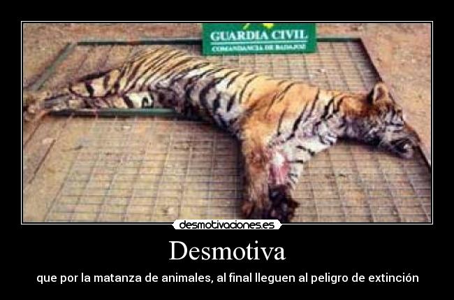 Desmotiva - que por la matanza de animales, al final lleguen al peligro de extinción