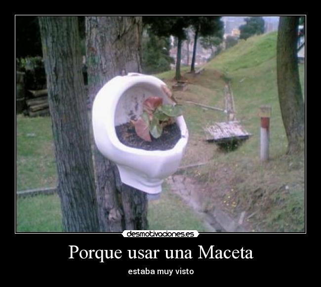 Porque usar una Maceta - 