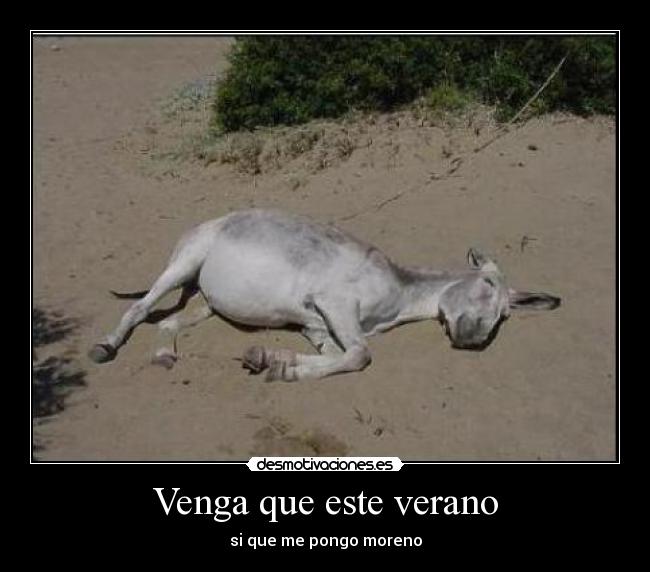 Venga que este verano -